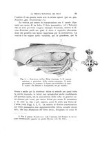 giornale/VEA0038128/1935/unico/00000099