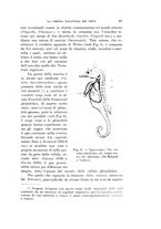 giornale/VEA0038128/1935/unico/00000101