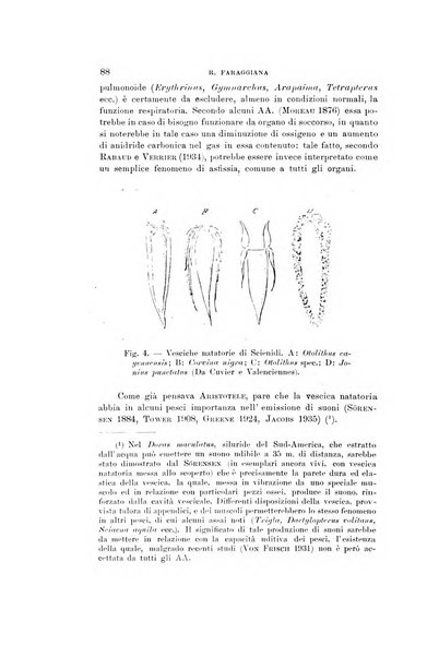 Natura rivista mensile di scienze naturali