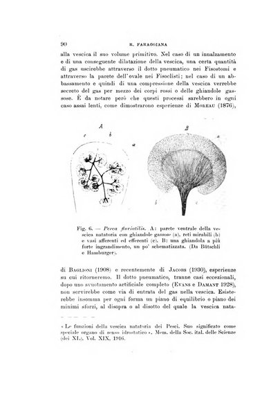 Natura rivista mensile di scienze naturali