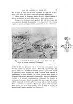 giornale/VEA0038128/1936/unico/00000011