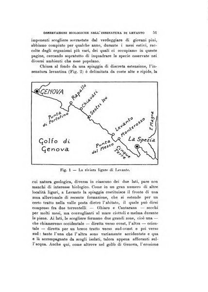 Natura rivista mensile di scienze naturali