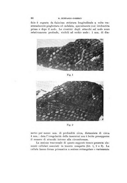 Natura rivista mensile di scienze naturali