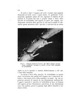 giornale/VEA0038128/1937/unico/00000178