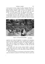 giornale/VEA0038128/1937/unico/00000197