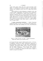 giornale/VEA0038128/1938/unico/00000038