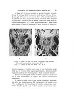giornale/VEA0038128/1938/unico/00000039