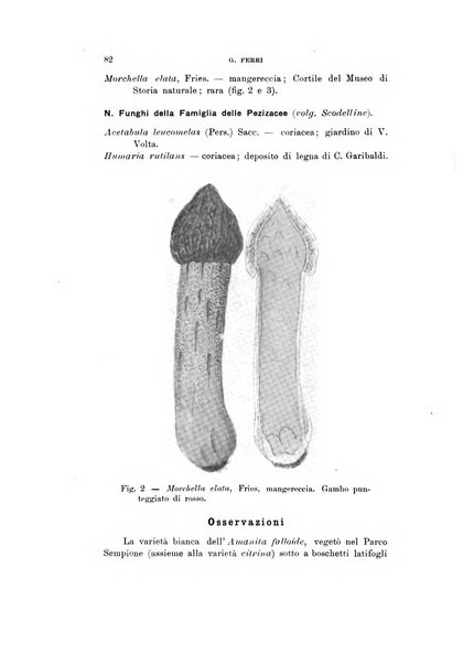 Natura rivista mensile di scienze naturali