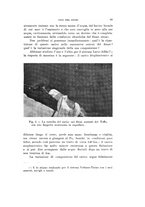 giornale/VEA0038128/1938/unico/00000113