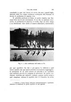 giornale/VEA0038128/1938/unico/00000115