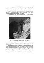 giornale/VEA0038128/1938/unico/00000151