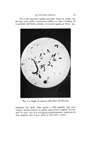 Natura rivista mensile di scienze naturali