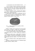 giornale/VEA0038128/1939/unico/00000083