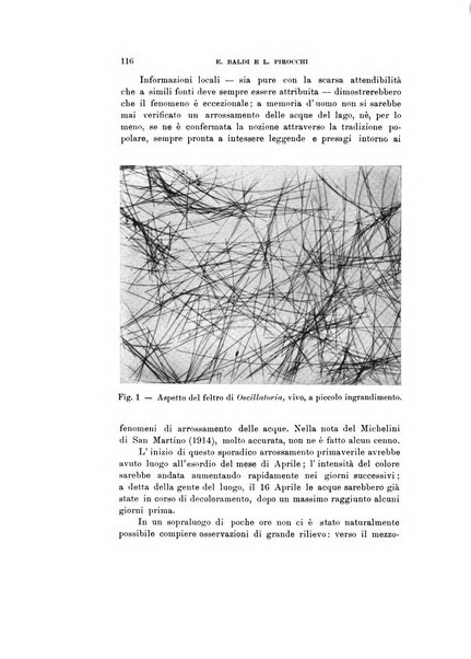 Natura rivista mensile di scienze naturali