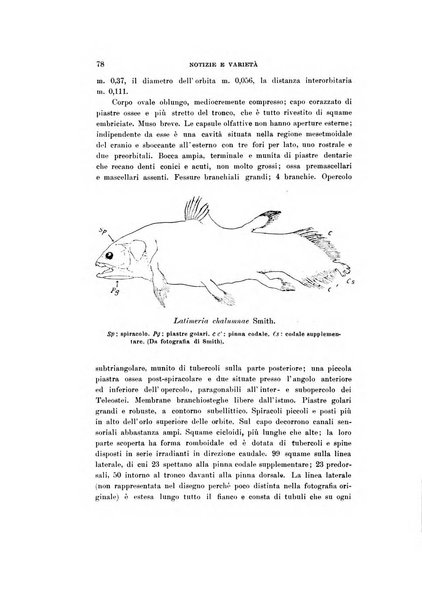 Natura rivista mensile di scienze naturali