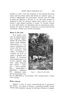 giornale/VEA0038128/1940/unico/00000119