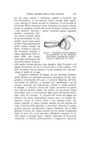 giornale/VEA0038128/1940/unico/00000163