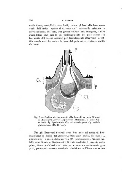 Natura rivista mensile di scienze naturali