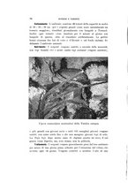 giornale/VEA0038128/1941/unico/00000104