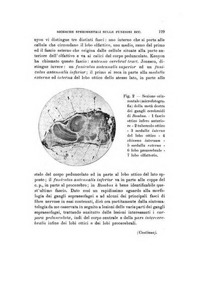 Natura rivista mensile di scienze naturali