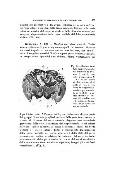 Natura rivista mensile di scienze naturali