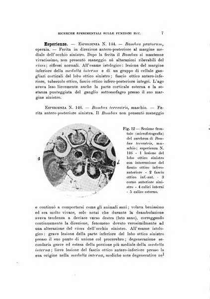 Natura rivista mensile di scienze naturali