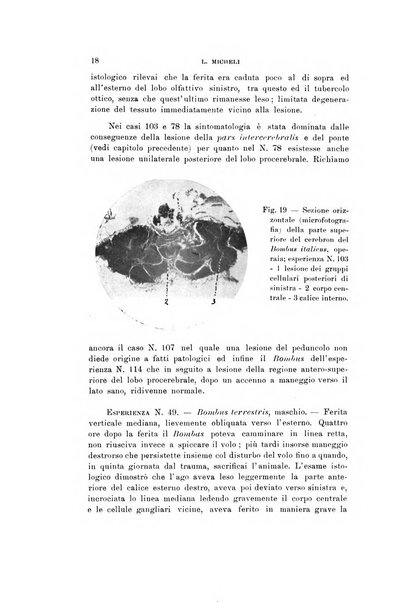 Natura rivista mensile di scienze naturali