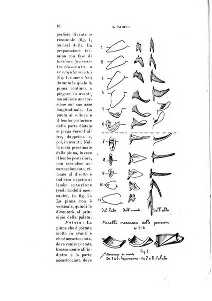 Natura rivista mensile di scienze naturali