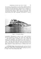 giornale/VEA0038128/1943-1945/unico/00000059