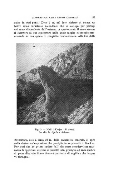 Natura rivista mensile di scienze naturali