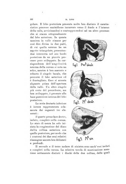 Natura rivista mensile di scienze naturali