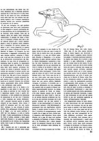 giornale/VEA0068137/1933/unico/00000019