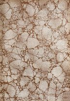 giornale/VEA0132804/1903/unico/00000003