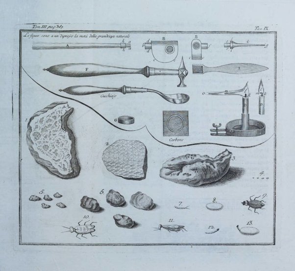 Opuscoli scelti sulle scienze e sulle arti. Tratti dagli Atti delle Accademie, e dalle altre collezioni filosofiche, e letterarie, dalle opere più recenti inglesi, tedesche, francesi, latine, e italiane, e da manoscritti originali, e inediti