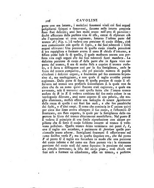 Opuscoli scelti sulle scienze e sulle arti. Tratti dagli Atti delle Accademie, e dalle altre collezioni filosofiche, e letterarie, dalle opere più recenti inglesi, tedesche, francesi, latine, e italiane, e da manoscritti originali, e inediti