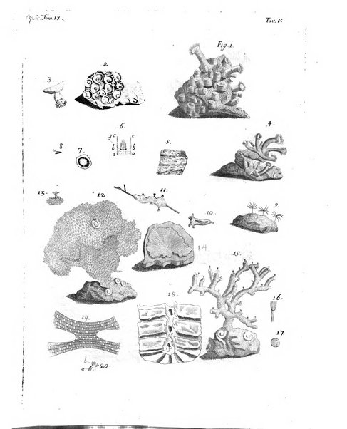 Opuscoli scelti sulle scienze e sulle arti. Tratti dagli Atti delle Accademie, e dalle altre collezioni filosofiche, e letterarie, dalle opere più recenti inglesi, tedesche, francesi, latine, e italiane, e da manoscritti originali, e inediti