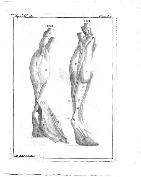 Opuscoli scelti sulle scienze e sulle arti. Tratti dagli Atti delle Accademie, e dalle altre collezioni filosofiche, e letterarie, dalle opere più recenti inglesi, tedesche, francesi, latine, e italiane, e da manoscritti originali, e inediti