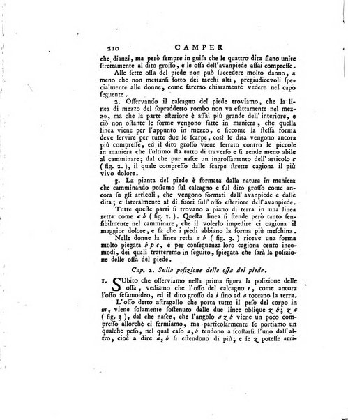 Opuscoli scelti sulle scienze e sulle arti. Tratti dagli Atti delle Accademie, e dalle altre collezioni filosofiche, e letterarie, dalle opere più recenti inglesi, tedesche, francesi, latine, e italiane, e da manoscritti originali, e inediti