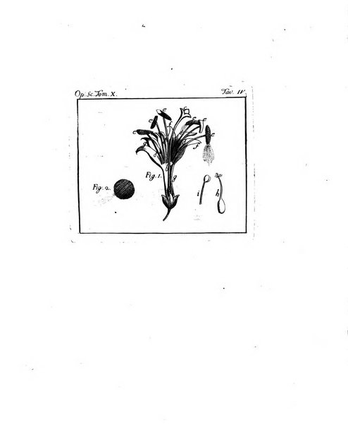 Opuscoli scelti sulle scienze e sulle arti. Tratti dagli Atti delle Accademie, e dalle altre collezioni filosofiche, e letterarie, dalle opere più recenti inglesi, tedesche, francesi, latine, e italiane, e da manoscritti originali, e inediti