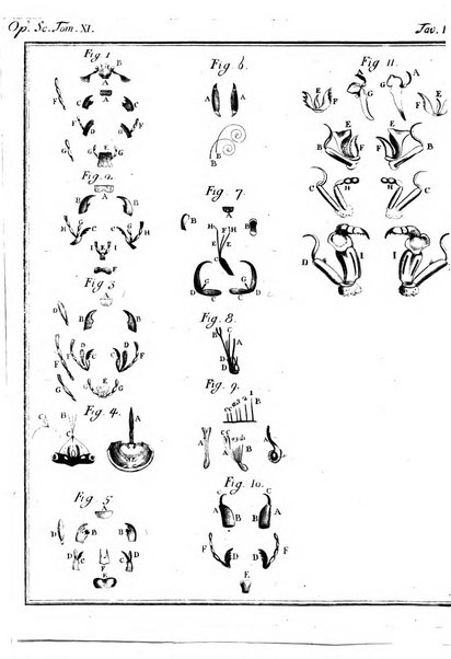 Opuscoli scelti sulle scienze e sulle arti. Tratti dagli Atti delle Accademie, e dalle altre collezioni filosofiche, e letterarie, dalle opere più recenti inglesi, tedesche, francesi, latine, e italiane, e da manoscritti originali, e inediti