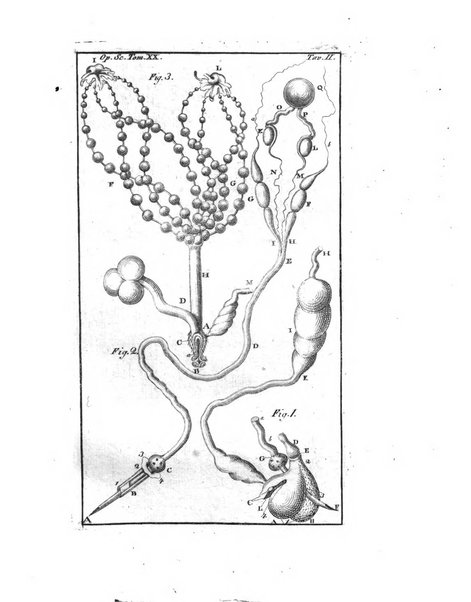 Opuscoli scelti sulle scienze e sulle arti. Tratti dagli Atti delle Accademie, e dalle altre collezioni filosofiche, e letterarie, dalle opere più recenti inglesi, tedesche, francesi, latine, e italiane, e da manoscritti originali, e inediti