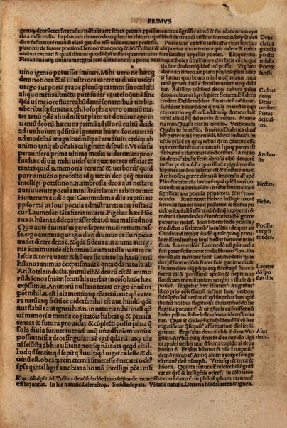 Commentarii questionum tusculanarum editi a Philippo Beroaldo