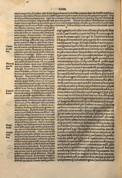 Commentarii questionum tusculanarum editi a Philippo Beroaldo