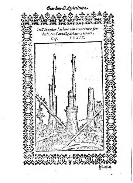 Giardino di agricoltura di Marco Bussato da Rauenna nel quale, con bellissimo ordine, si tratta di tutto quello, che s'appartiene à sapere à vn perfetto giardiniero: e s'insegna per pratica la vera maniera di piantare, & incalmare arbori e viti di tutte le sorti, & i varij e diuersi modi ch'in ciò si tengono. Dimostrandoli oltra che con i ragionamenti, anco con appropriati disegni ...