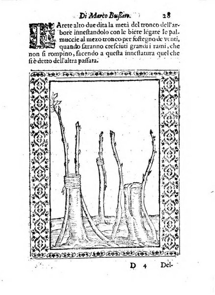 Giardino di agricoltura di Marco Bussato da Rauenna nel quale, con bellissimo ordine, si tratta di tutto quello, che s'appartiene à sapere à vn perfetto giardiniero: e s'insegna per pratica la vera maniera di piantare, & incalmare arbori e viti di tutte le sorti, & i varij e diuersi modi ch'in ciò si tengono. Dimostrandoli oltra che con i ragionamenti, anco con appropriati disegni ...