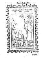 libroantico/BVEE001692/0074