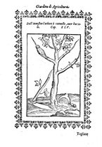 libroantico/BVEE001692/0078