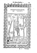 libroantico/BVEE001692/0081