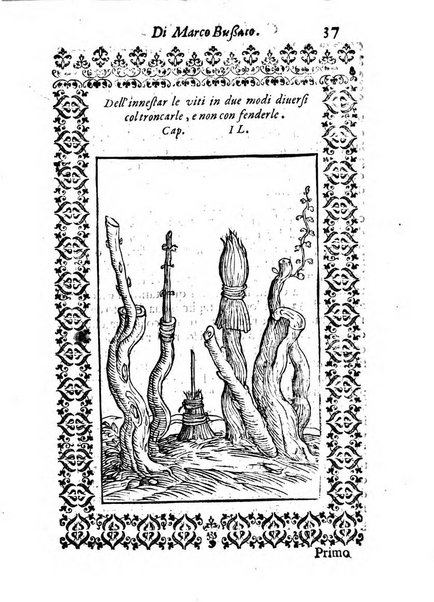 Giardino di agricoltura di Marco Bussato da Rauenna nel quale, con bellissimo ordine, si tratta di tutto quello, che s'appartiene à sapere à vn perfetto giardiniero: e s'insegna per pratica la vera maniera di piantare, & incalmare arbori e viti di tutte le sorti, & i varij e diuersi modi ch'in ciò si tengono. Dimostrandoli oltra che con i ragionamenti, anco con appropriati disegni ...