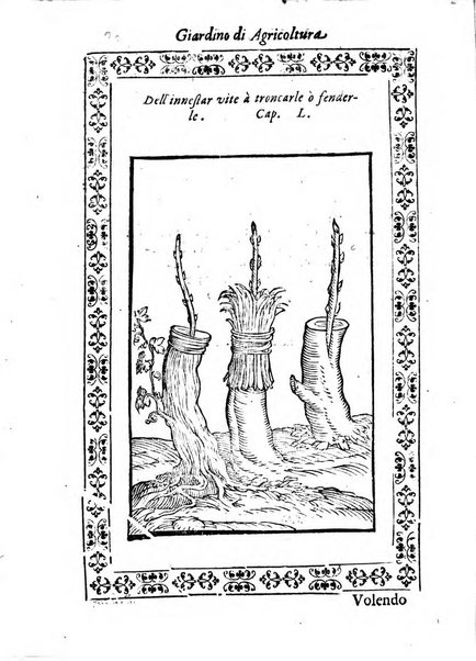 Giardino di agricoltura di Marco Bussato da Rauenna nel quale, con bellissimo ordine, si tratta di tutto quello, che s'appartiene à sapere à vn perfetto giardiniero: e s'insegna per pratica la vera maniera di piantare, & incalmare arbori e viti di tutte le sorti, & i varij e diuersi modi ch'in ciò si tengono. Dimostrandoli oltra che con i ragionamenti, anco con appropriati disegni ...